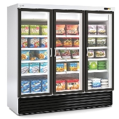 expositor-de-congelados-dcvc-2003-docriluc