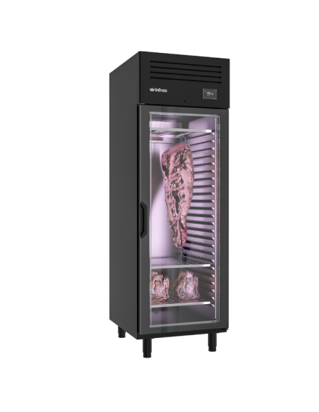 Cámara de Maduración de Carne AGB701MDAB Infrico