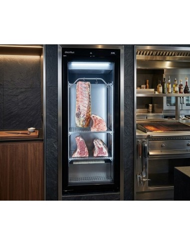 Nevera de maduración de carne DDAV-400 Docriluc