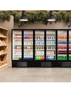 expositor-de-congelados-dcvc-2003-docriluc 2