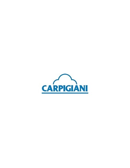 Carpigiani