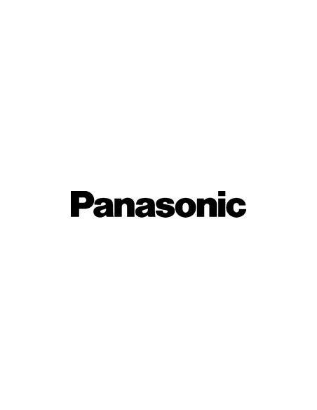Panasonic